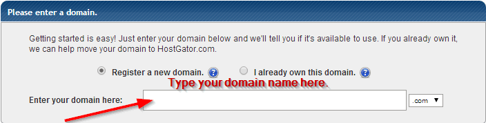 type domain name hostgator
